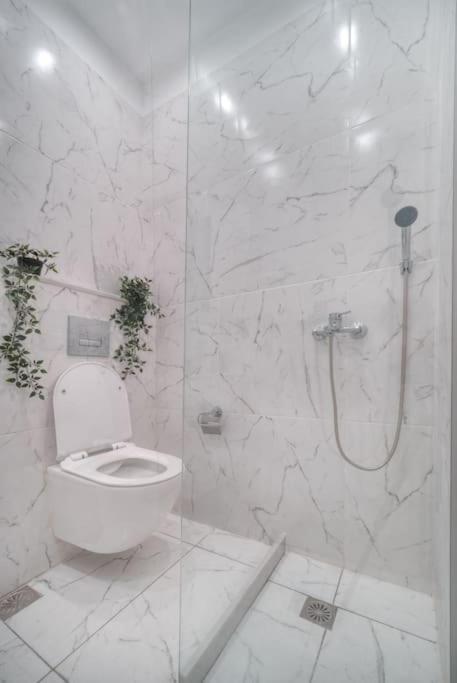 Εστία 10 Λεπτά Από Την Ακρόπολη Appartement Athene Buitenkant foto